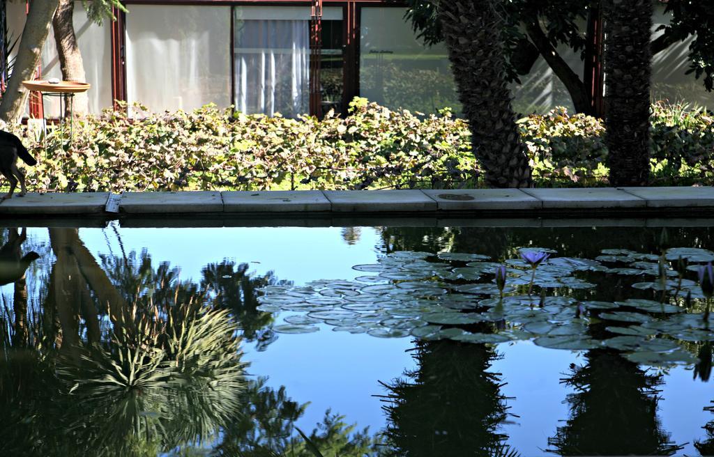 Hotel Emblematico Casa Casilda Tacoronte Bagian luar foto